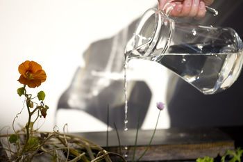 صورة الفندق 11