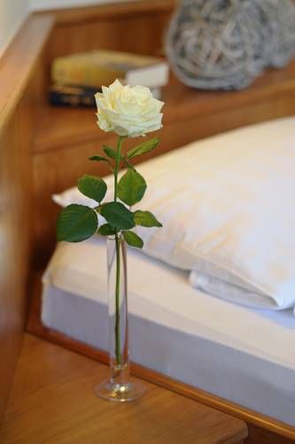 صورة الفندق 13