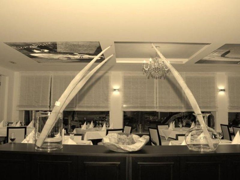 صورة الفندق 13