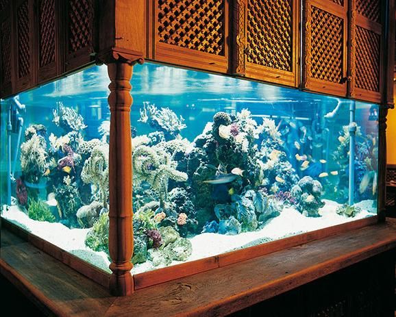 صورة الفندق 15