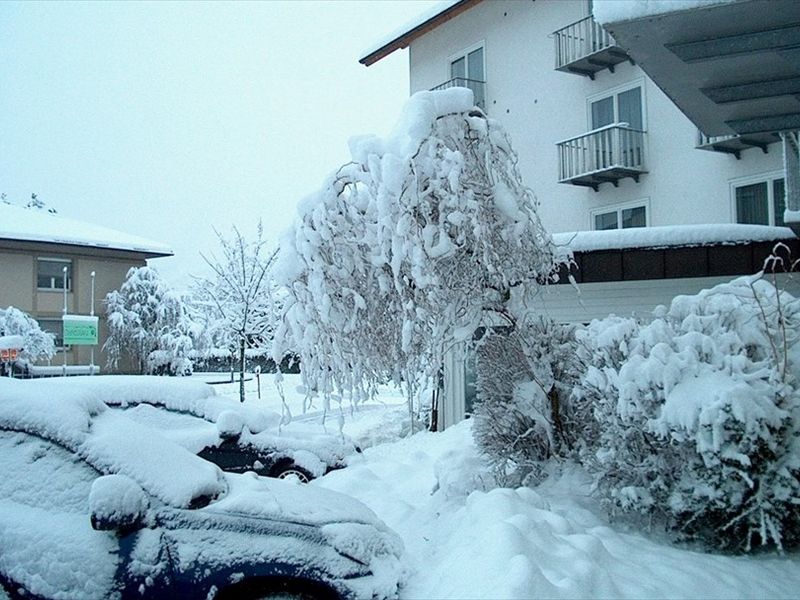 صورة الفندق 24