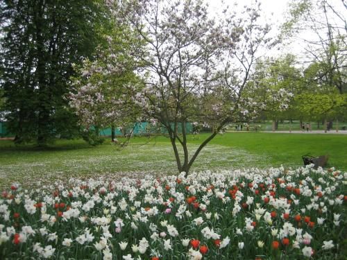 صورة الفندق 22