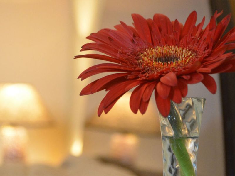 صورة الفندق 11