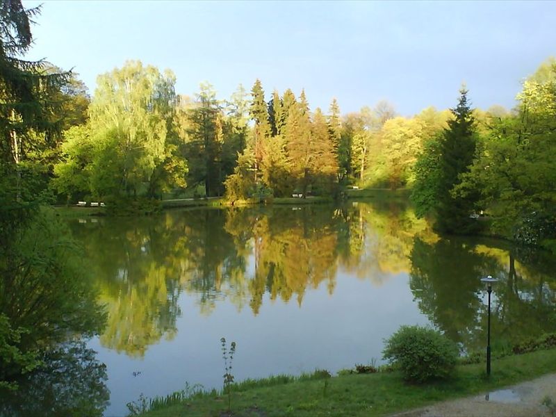 صورة الفندق 21