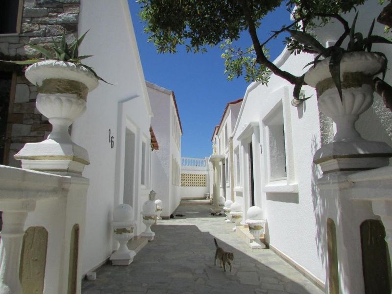 صورة الفندق 3