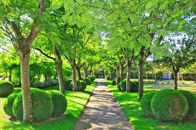 صورة الفندق 19