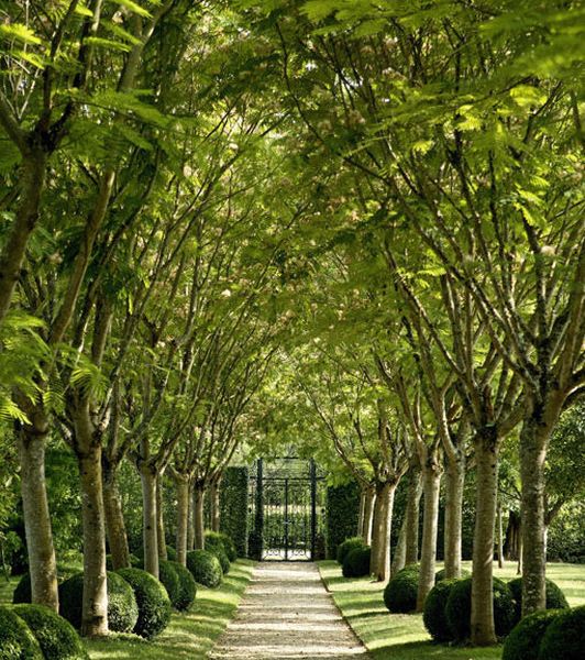 صورة الفندق 20
