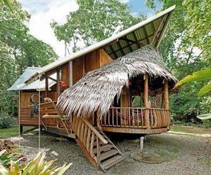 Tree House Lodge Cocles Beach Costa Rica