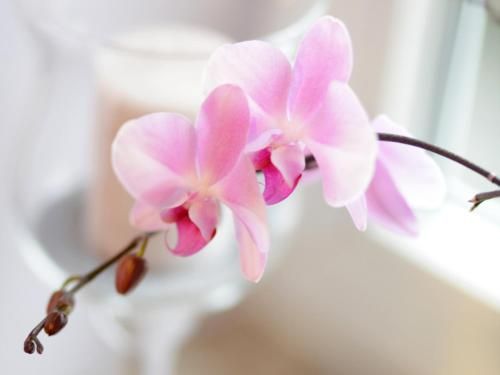 صورة الفندق 15