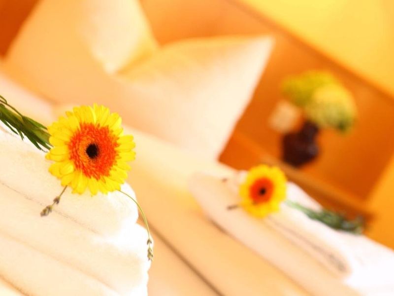 صورة الفندق 17