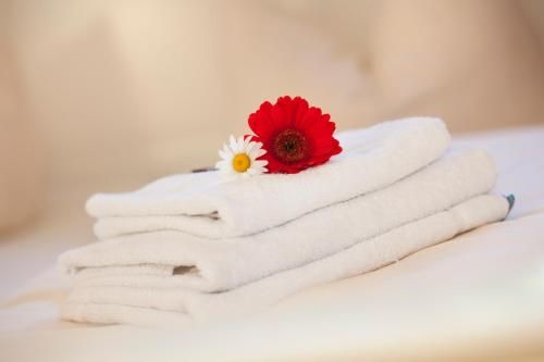 صورة الفندق 8