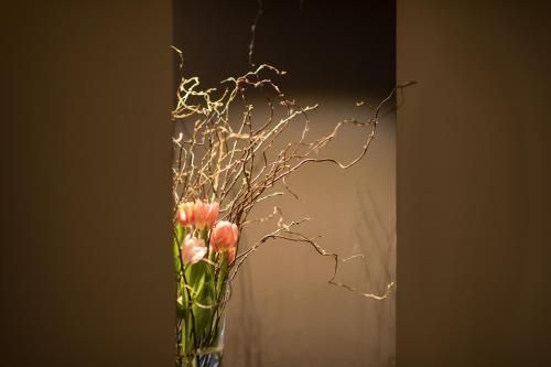صورة الفندق 17