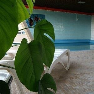 صورة الفندق 20
