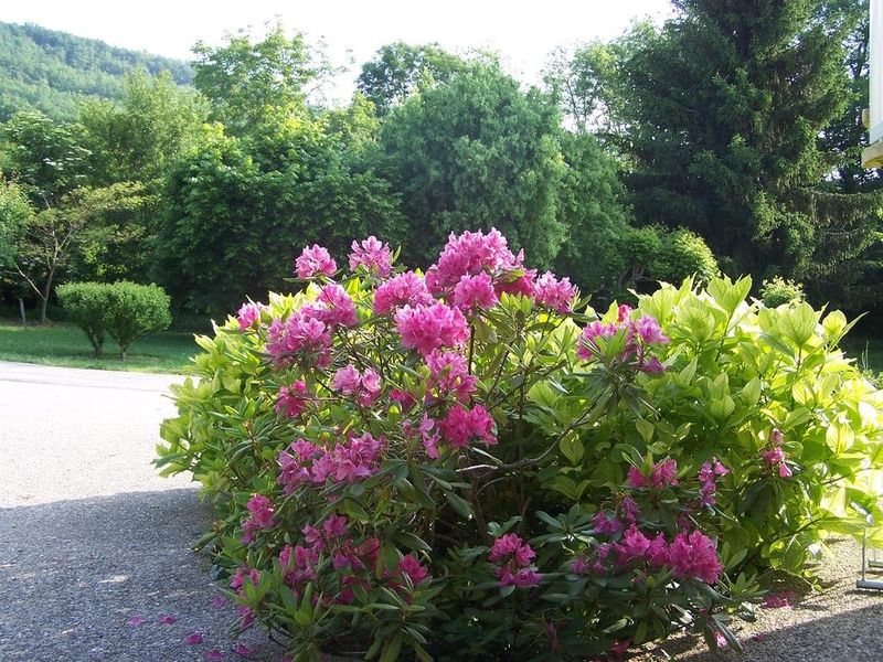 صورة الفندق 15