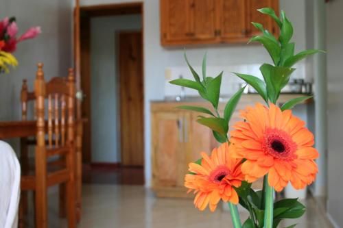 صورة الفندق 16