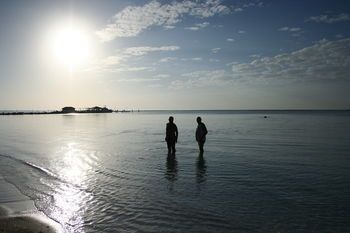 صورة الفندق 22