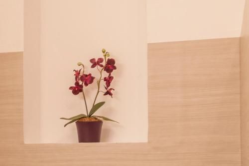 صورة الفندق 21