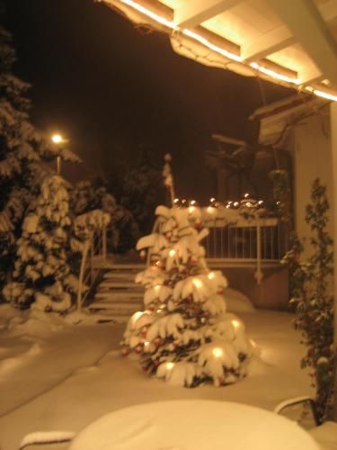 صورة الفندق 24