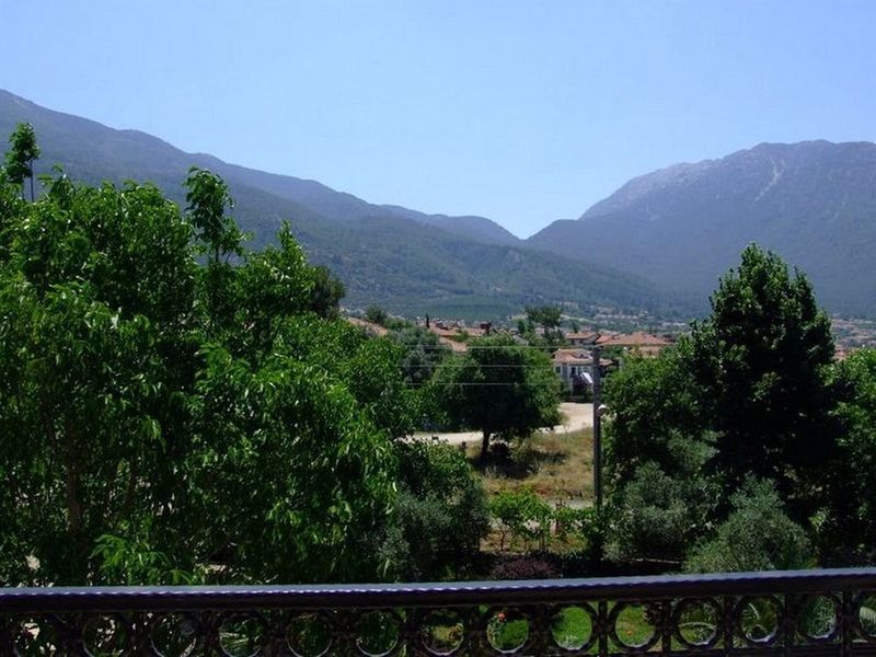 Hotel Photo 24