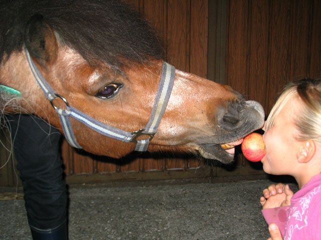 صورة الفندق 9