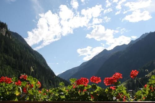 صورة الفندق 4