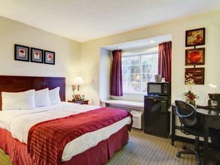 Фото отеля Jacksonville Plaza Hotel and Suites