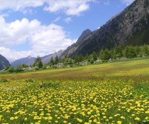 Bauernhof Deutschmann Wenns Austria