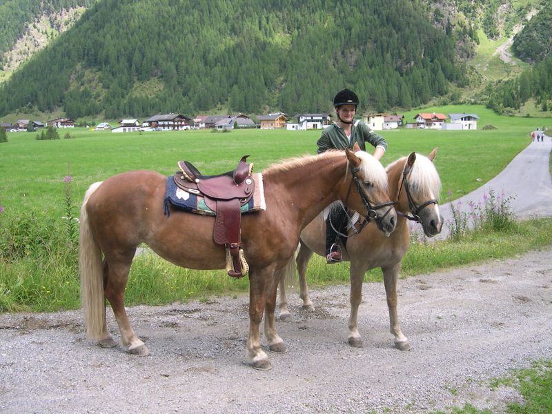 صورة الفندق 18