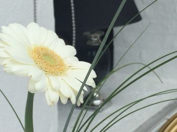 صورة الفندق 14