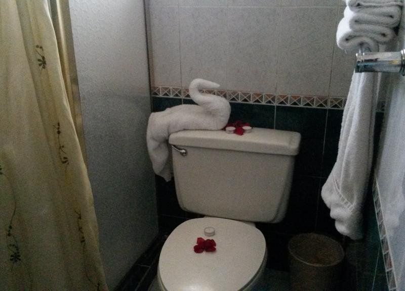 صورة الفندق 9