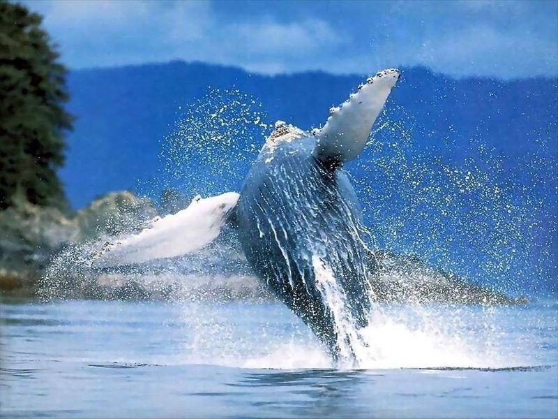 صورة الفندق 20