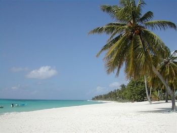 صورة الفندق 22