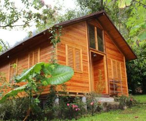 El Abrazo del Arbol - Farm Eco Lodge Mindo Ecuador