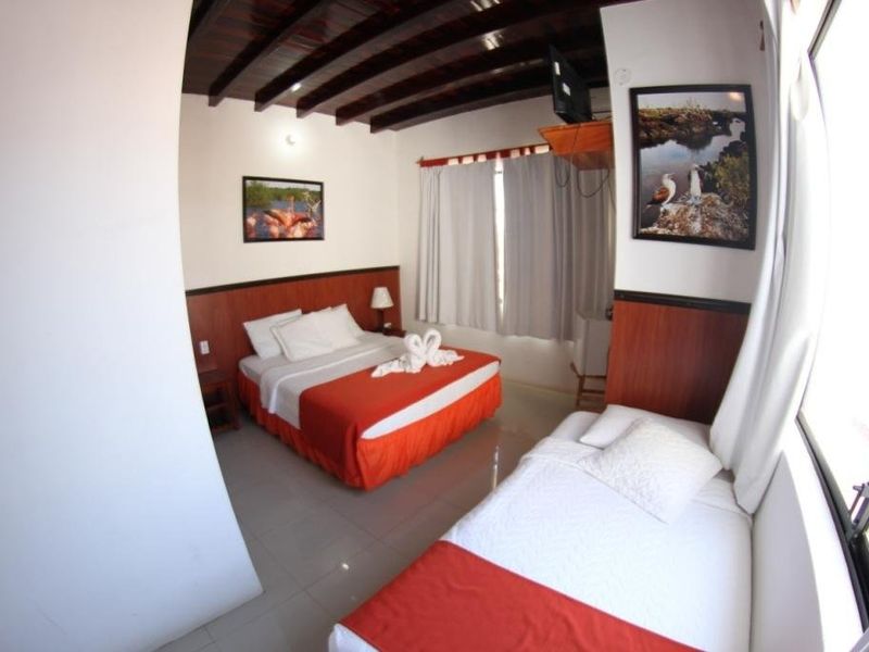 Hotel Photo 9