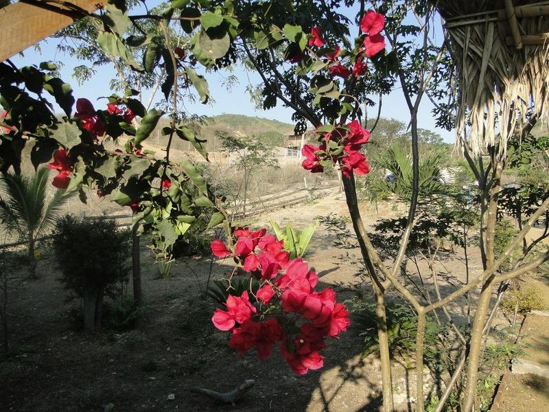 صورة الفندق 23