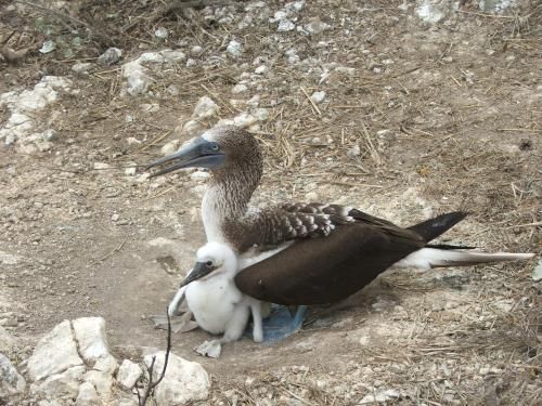 صورة الفندق 18