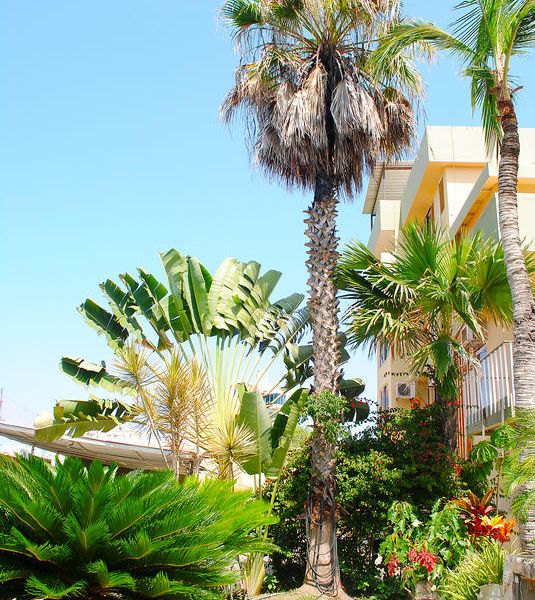 صورة الفندق 23