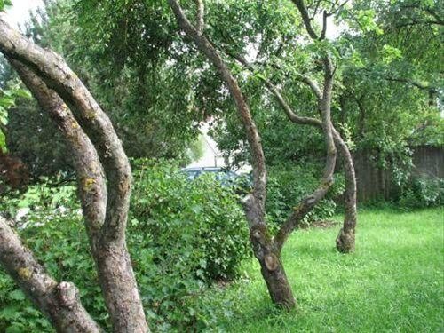 صورة الفندق 12