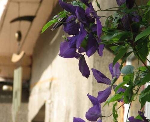 صورة الفندق 7