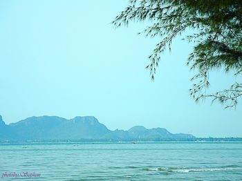 صورة الفندق 18