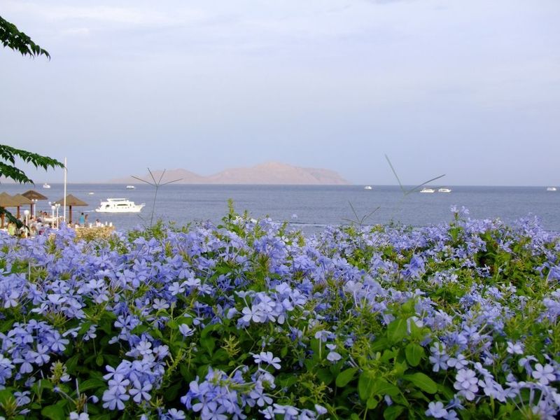 صورة الفندق 19