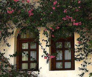 Mexicana Sharm Resort Sharm el Sheikh Egypt