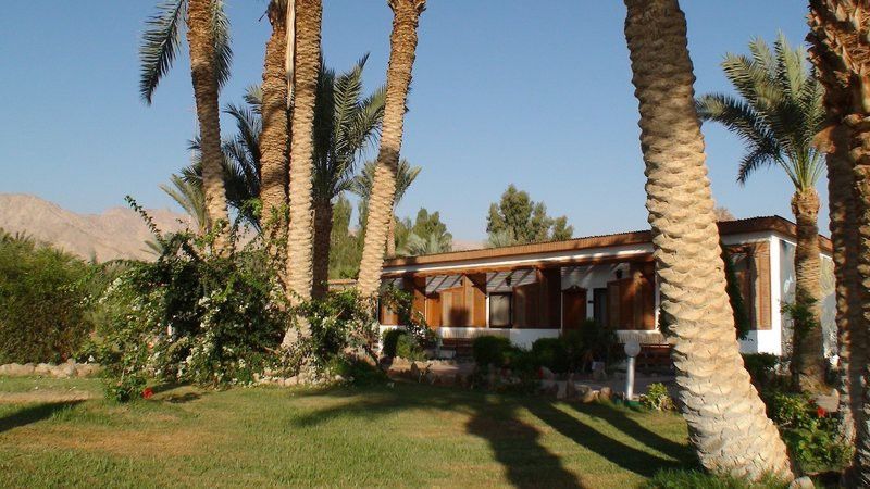 صورة الفندق 24
