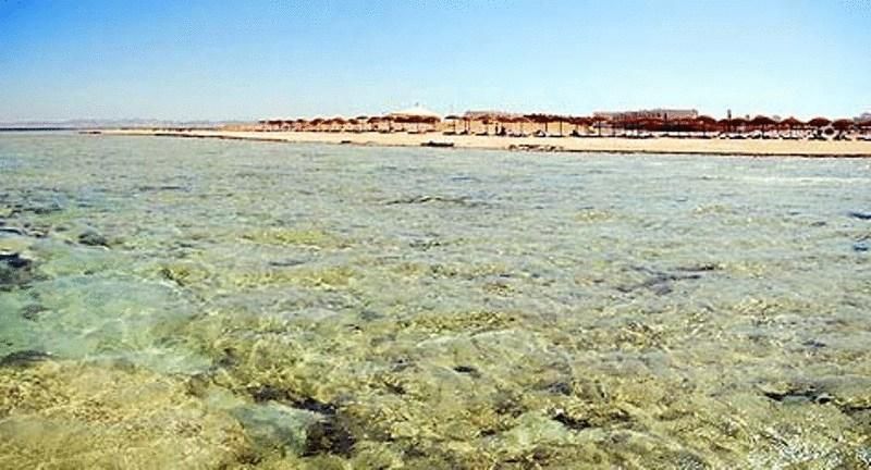 صورة الفندق 20