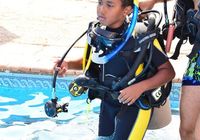 Отзывы Daniela Diving Resort Dahab, 3 звезды