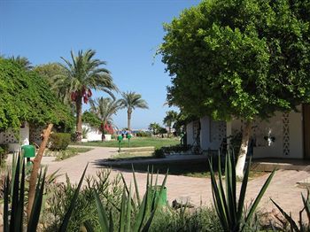 صورة الفندق 23