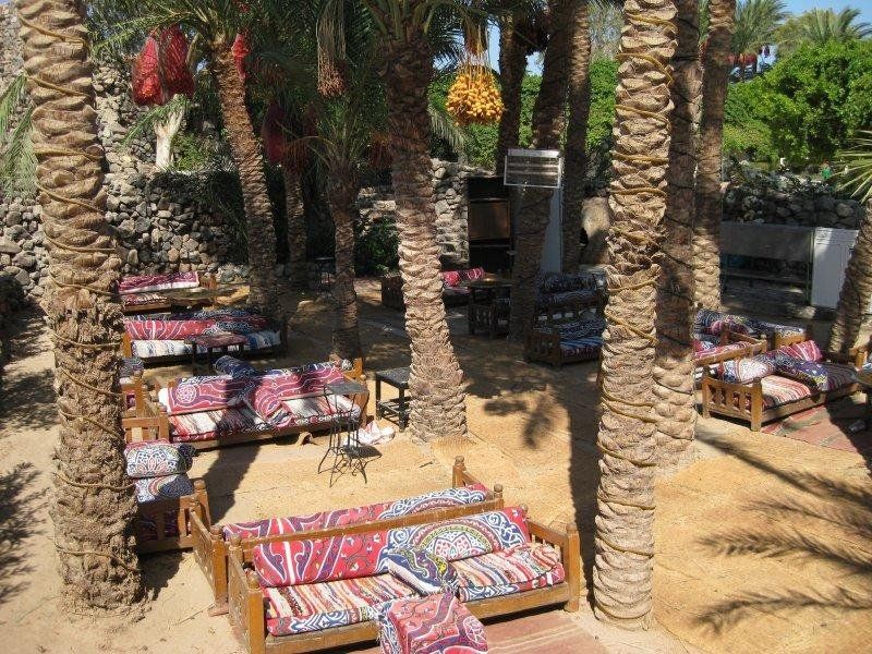 صورة الفندق 24