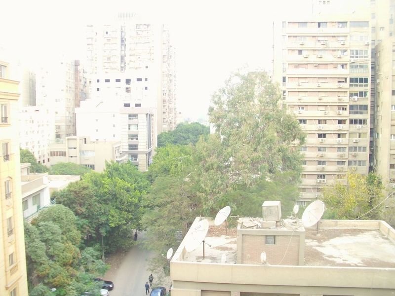 صورة الفندق 23