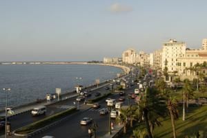 صورة الفندق 24