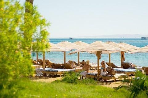 صورة الفندق 20